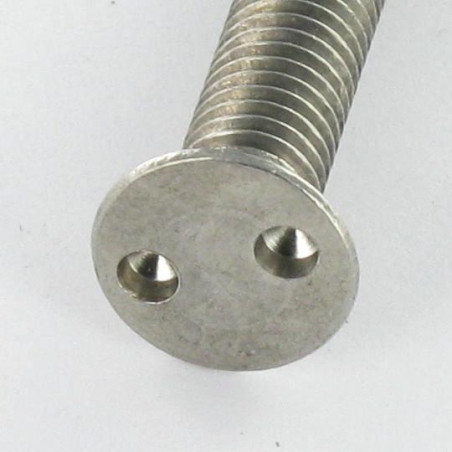 1 x Vis métaux Inviolable Tête fraisée Snake eyes M4X20 Inox A2