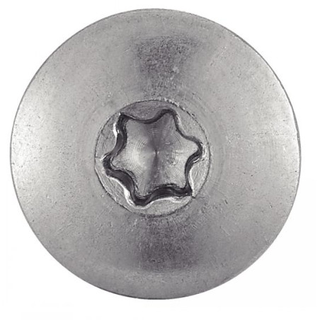 1 x Vis de facade TORX T20 5.5X32 Diamètre de tête: 12.3 Inox A2