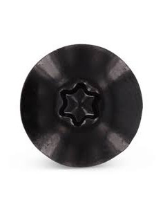 Vis de facade TORX T20 4.8X32 Diamètre de tête: 12.3 Inox... 2