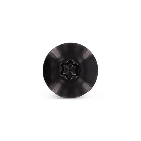 1 x Vis de facade TORX T20 4.8X32 Diamètre de tête: 12.3 Inox A2 RAL9005 noir foncé