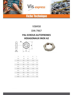 Pal Ecrous autofreinés hexagonaux Inox A2 M12 2