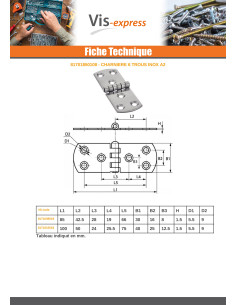 Charnière Type E 6 trous Inox A2 85X30 2