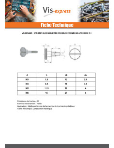 Vis métaux Moletée Fendue Forme Haute Inox A1 M4X6 2