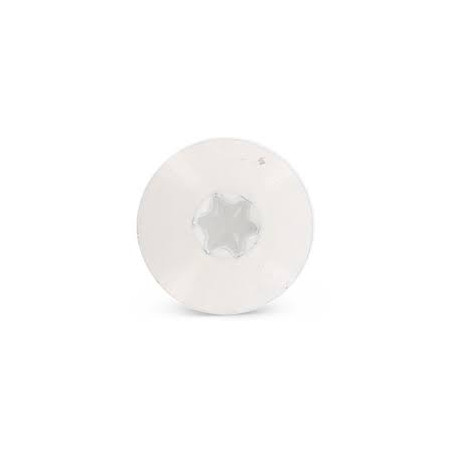 1 x Vis de facade TORX T20 5.5X38 Diamètre de tête: 12.3 Inox A2 RAL9010 blanc pur