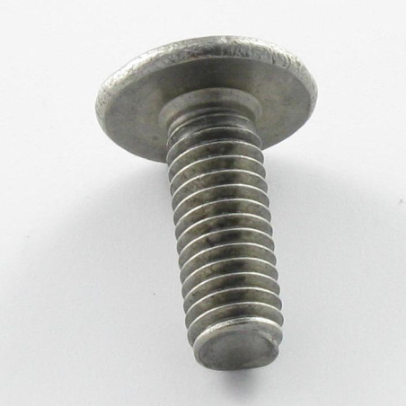 1 x Vis métaux Poelier POZI et fendu 6X16 Inox