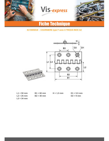 1 x Charnière Type Fendue 6 trous Inox A2 50X60