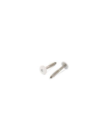 1 x Vis de facade TORX T20 4.8X38 Diamètre de...