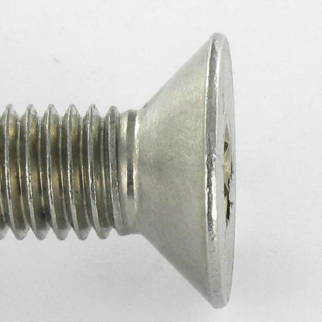 1 x Vis métaux Inox A2 Inviolable FHC tête fraisée empreinte hexagonale creuse Clé de 6 HC6 avec téton M10X16