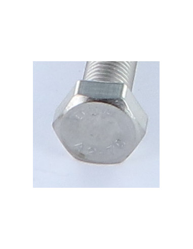1 x Vis métaux Tête hexagonale TH M8X100 Pas...