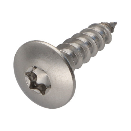 1 x Vis Penture 6X20 Filetage total TORX T30 Inox A2
