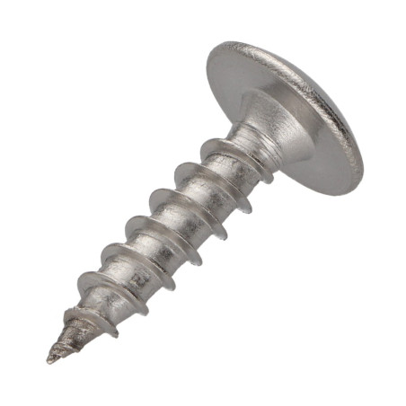 1 x Vis Penture 6X20 Filetage total TORX T30 Inox A2