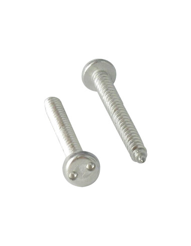 1 x Vis tôle Inviolable Tête cylindrique TC...