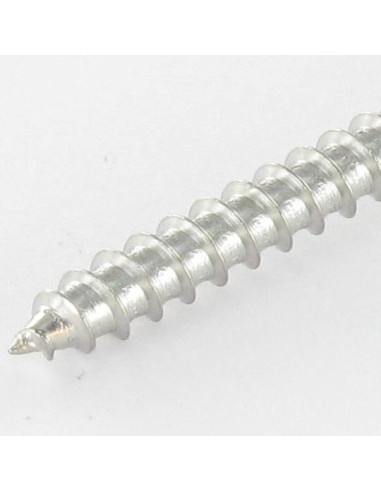 1 x Vis bois Inox A2 Tête ronde TR Fendue 5X60