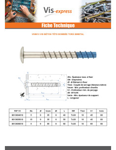 Vis béton Tête Bombée TORX TORX T30 6X60 Bimétal 2