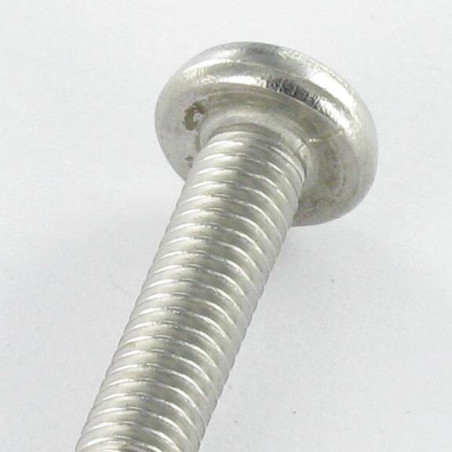 1 x Vis métaux Inviolable Tête cylindrique TC SNAKE EYE M3X10 Inox A2 EMBT4
