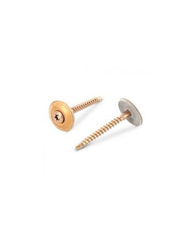 1 x Vis faitage Tête fraisée bombée TFB TORX...