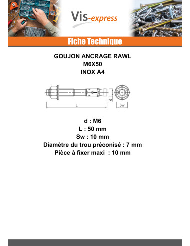 1 x Goujon Ancrage M6X50 Inox A4 RAWLPLUG