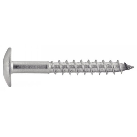 1 x Vis de facade TORX T20 5.5X38 Diamètre de tête: 12.3 Inox A2