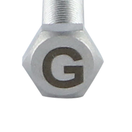 1 x Vis métaux Tête hexagonale TH 8X35 Inox A4 avec gravure de lettre "G"