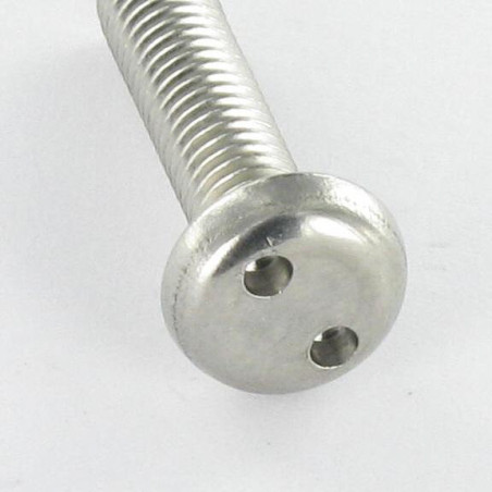 1 x Vis métaux Inviolable Tête cylindrique TC SNAKE EYE M5X12 Inox A2 EMBT10