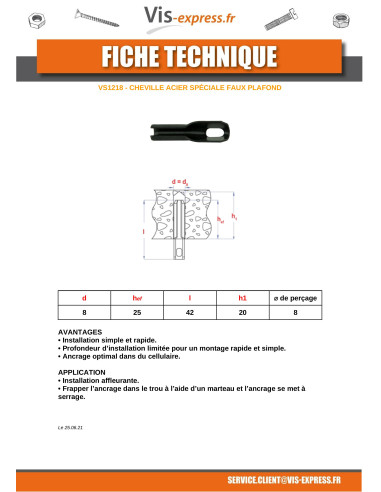 1 x Cheville Pour PLAFOND et LUMINAIRE 8X42