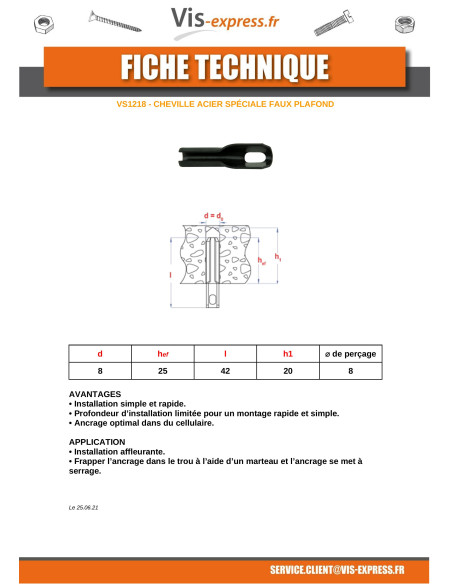 1 x Cheville Pour PLAFOND et LUMINAIRE 8X42