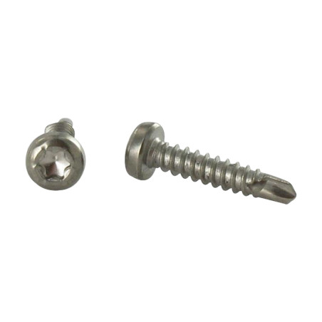 1 x Vis autoperceuse Tête cylindrique TC TORX T15 3.9X19 Inox A4