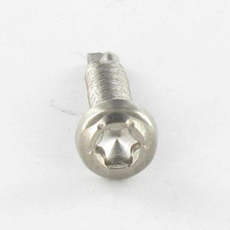 1 x Vis autoperceuse Tête cylindrique TC TORX T15 3.9X19 Inox A4