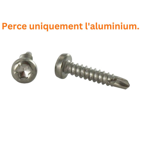 1 x Vis autoperceuse Tête cylindrique TC TORX T15 3.9X19 Inox A4