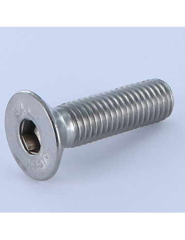 1 x Vis métaux FHC tête fraisée empreinte...