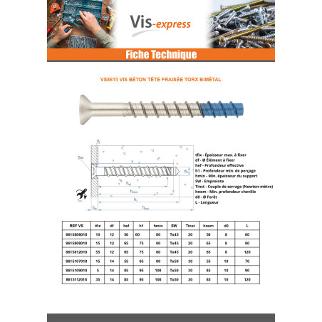 1 x Vis béton Tête fraisée TORX T50 10X120 Bimétal