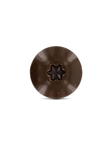 1 x Vis de facade TORX T20 5.5X45 Diamètre de...