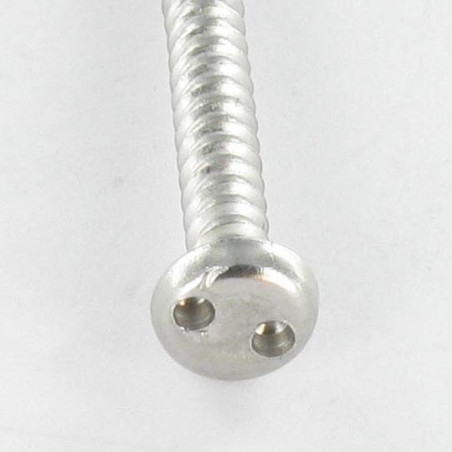 1 x Vis tôle Inviolable Tête cylindrique TC Snake eyes 4.2X19 Inox A2