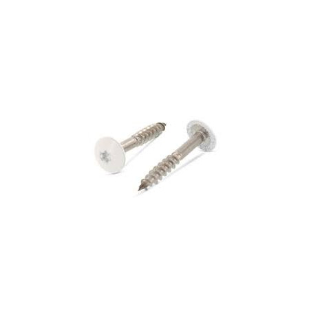 1 x Vis de facade TORX T20 5.5X25 Diamètre de tête: 12.3 Inox A2 RAL9010 blanc pur