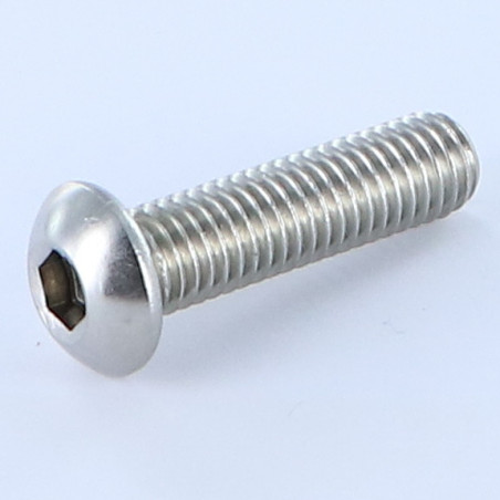 1 x Vis métaux BHC (Tête Bombée Hexagonal creux) M6X25 Filetage total Clé de 4 HC4 Inox A4