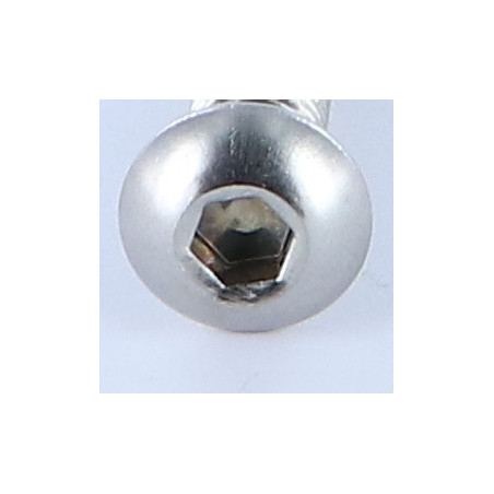 1 x Vis métaux BHC (Tête Bombée Hexagonal creux) M6X25 Filetage total Clé de 4 HC4 Inox A4