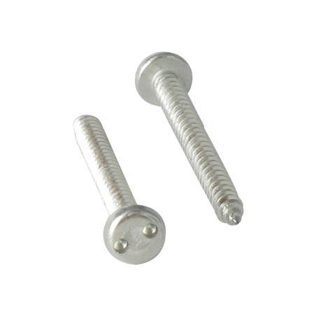 1 x Vis tôle Inviolable Tête cylindrique TC Snake eyes 3.5X19 Inox A2