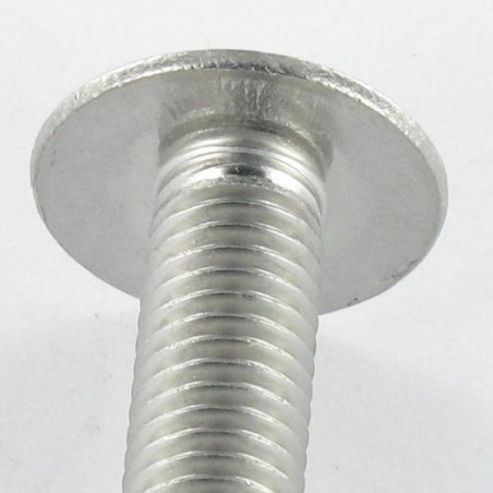 1 x Vis Poelier Fendue Inox A2 M6X16 Frein filet