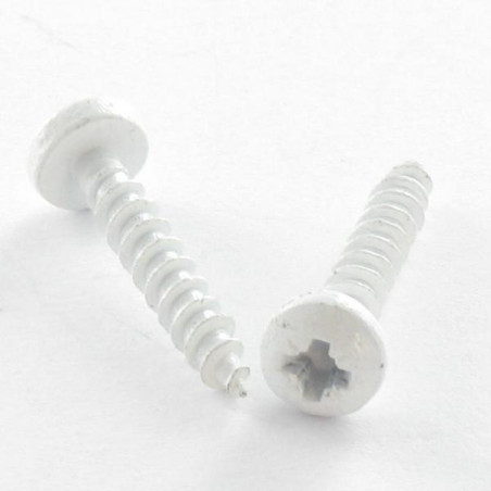 1 x VBA Vis bois agglo Inox A2 Tête ronde TR Pozi 3X20 microvis RAL9016 blanc signalisation