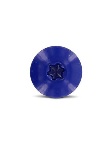 1 x Vis de facade TORX T20 4.8X25 Diamètre de...