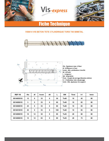 1 x Vis béton Tête cylindrique TC TORX T40...