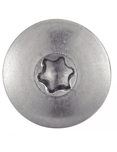 1 x Vis de facade TORX T20 4.8X70 Diamètre de...