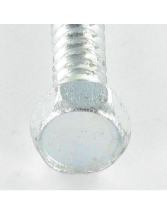 Vis tôle Autotaraudeuse Tête hexagonale TH 6.3X50 Inox A2 2