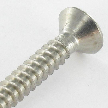 1 x Vis tôle Tête fraisée 3.9X25 TORX T15 Inox A2