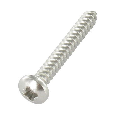 1 x Vis tôle tête cylindrique bombée large Pozi 3.9X25 Inox A4