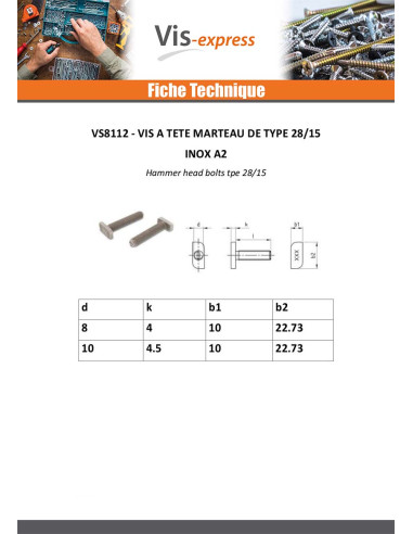 1 x Vis métaux Tête marteau 10X22.73.X4 M10X60...