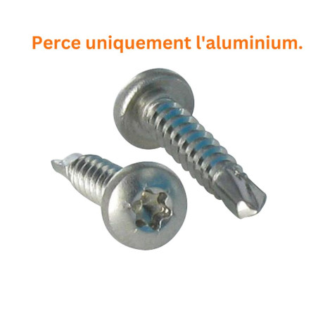 1 x Vis autoperceuse Tête cylindrique bombée TCB TORX T20 4.2X25 TORX T20 Inox A2