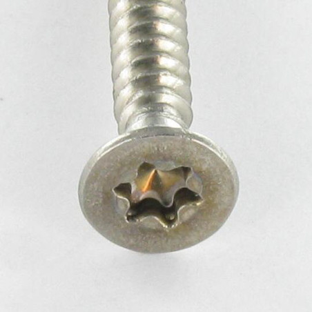1 x Vis tôle Tête fraisée 4.8X22 Inox A2 TORX T25