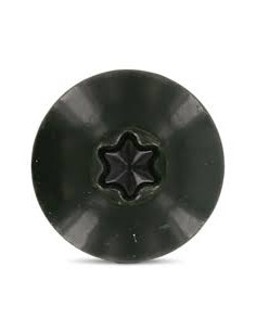 Vis de facade TORX T20 4.8X25 Diamètre de tête: 12.3 Inox... 2