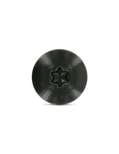 1 x Vis de facade TORX T20 4.8X25 Diamètre de...